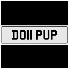 DOLL 🥰 DO11 PUP LOVELY GIRL PRIVATE REGISTRATION NUMBER PLATE  EVE JAN JEN ASH 
