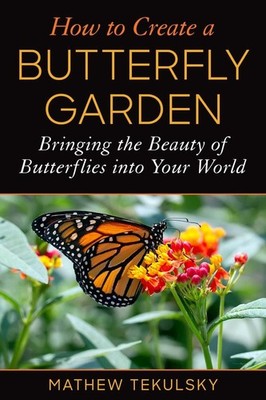 How to Create a Butterfly Garden: Bringing the Beauty of Butterflies into Your W