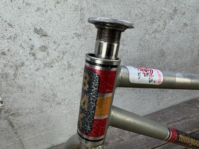 1981 Mongoose Mini goose Frame And Fork 20” Nickel Vintage Old 