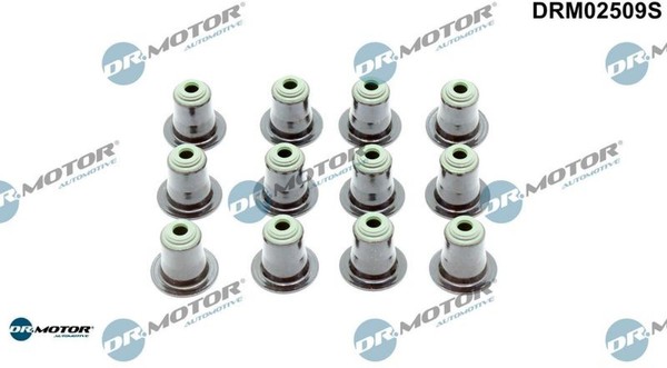 Dr.Motor Automotive DRM02509S Dichtungssatz FüR Ventilschaft-image