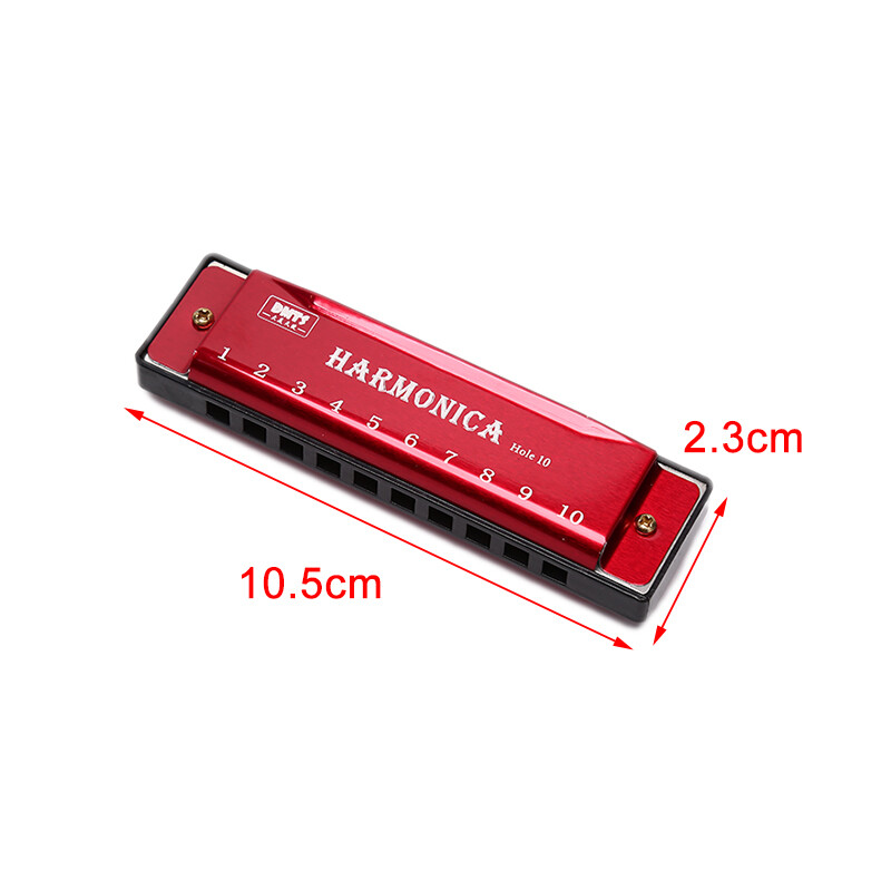 10 Hole Harmonica Mouth Organ Puzzle Musical Instrument Beginner