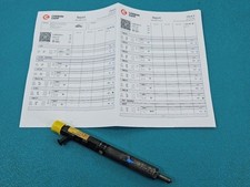 Injecteur Hyundai TERRACAN