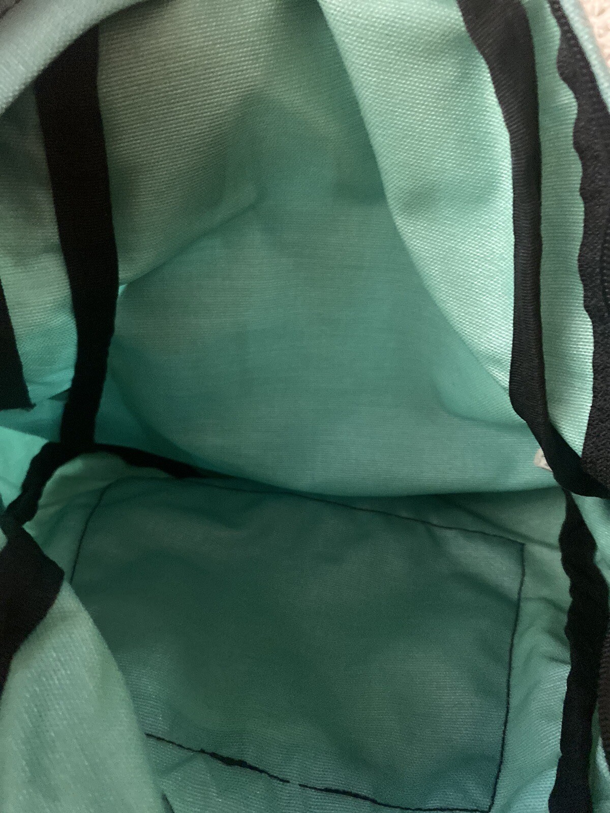 Jansport Half Pint Mini Backpack in Turquoise