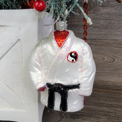 Old World Christmas Ornament OWC Martial Arts Robe 2018 Hand Blown Glass Glitter