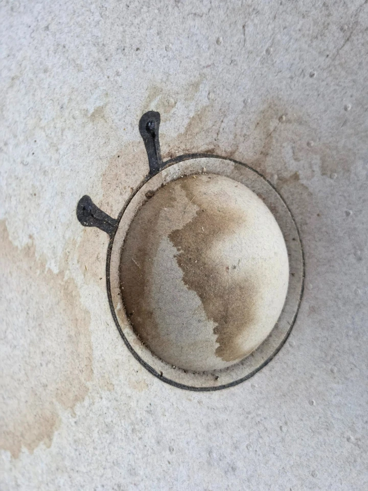 Par de Drivers Yamaha JA-2509 9,75" Alcance Completo – 16 Ohm – Alto-falante Vintage de Órgão/PA - Imagem 4 de 4