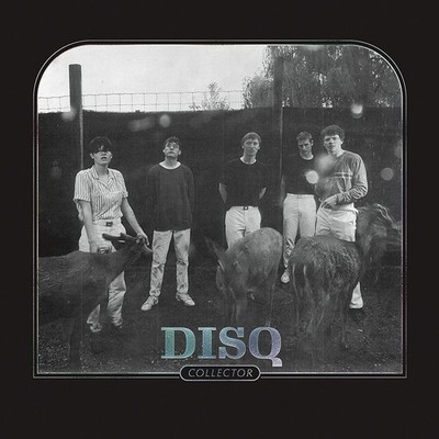 Vinyl Neu - Disq - Collector -I- Saddle Creek