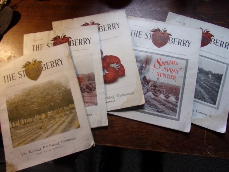 5 ISSUES 1907 STRAWBERRY MAGAZINE AGRICULTURE FRUIT PRODUCE SCARCE
