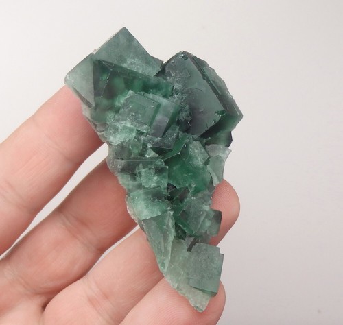 FLUORITE crystals & LW UV fluorescent !!! UK England ROGERLEY Diana Maria /pi212 - Picture 2 of 19