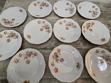 MITTERTEICH BAVARIA GERMANY PORCELAIN NORWAY ROSE BREAD PLATE SET OF 11
