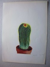 Botanique:Gravure couleur cactacées:Echinocactus Leninghausii par ARLETTE DAVIDS