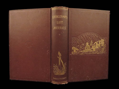 1875 AFRICA David Livingstone 1ed Last Journals Voyages African Exploration MAP - Picture 5 of 24