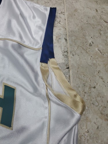 RARE HOOPSTER CANADA LEBRON JAMES IRISH HIGH SCHOOL JERSEY MEN'S SIZE LARGE - Picture 3 of 6