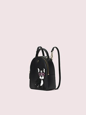 kate spade dog