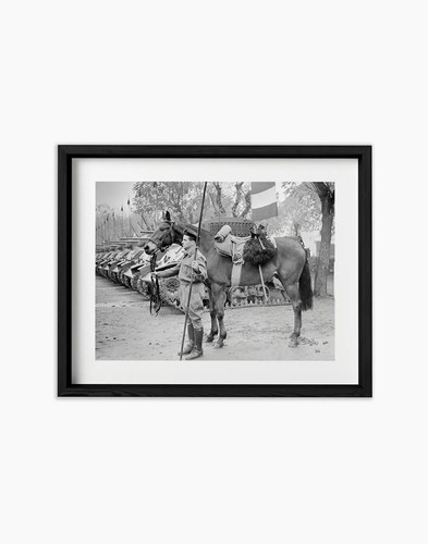 Poster Il cavallo Albino, reggimento Gorizia Stampa fotografica fine art - Picture 2 of 6