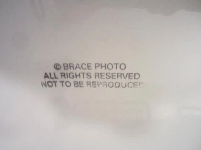 Foto de Paul & Lloyd Waner George Brace 8x10 en blanco y negro Piratas de Pittsburgh béisbol HOFer Foto 2 de 2