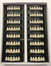 HUGE KAILI Synthetic Polymer False Teeth Upper Anterior T6 Full Box 16sets/6pcs