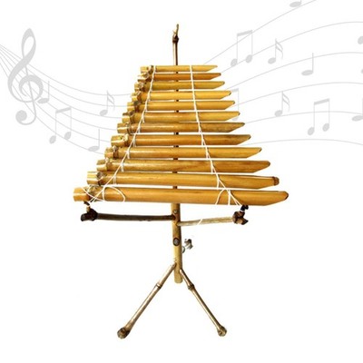 Vietnamese Traditional Musical Instrument T' Rung for Yoga Stage Performance
