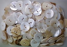 Buttons 22mm Ivory White Agoya Shell Natural Neutral Sewing Craft 2 Hole (W577)