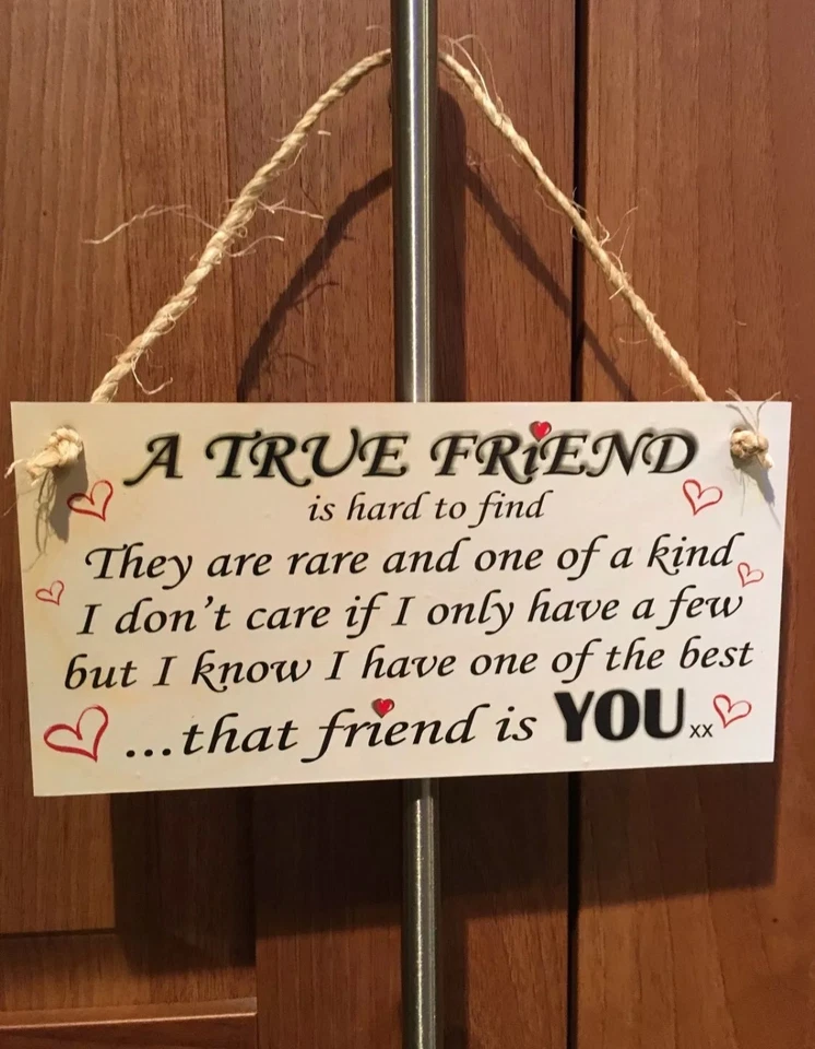 Hanging Rope Plaque Gift A TRUE FRIEND IS HARD TO FIND Indoor & Outdoor Use - Image 2 of 2