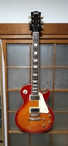 Les Paul Burny | eBay
