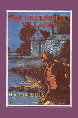 N A Temple-Ellis Neville Aldridge Holdawa The Inconsistent Villain (Taschenbuch)