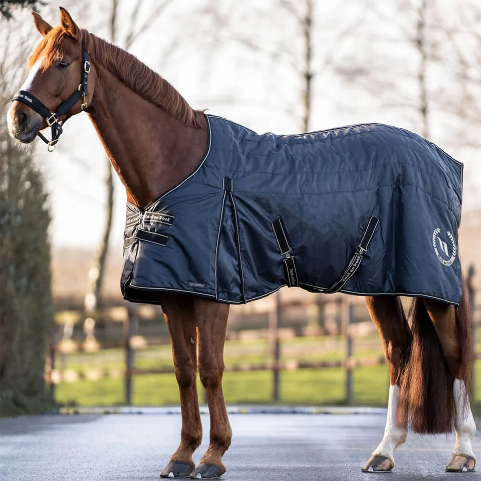 Back on Track Stalldecke Millie 200g - Bild 1 von 1