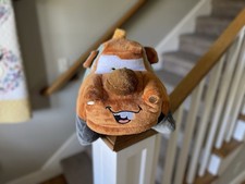 Disney Mater Pillow Pet