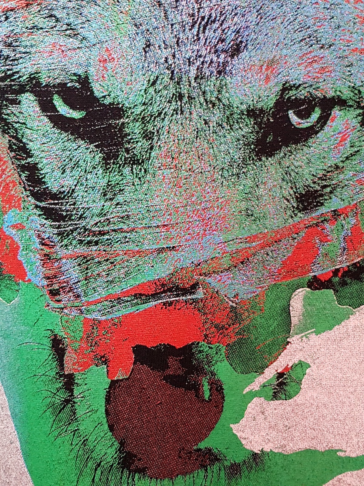 Picture 8 of 19