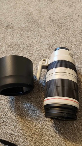 Canon 7D Mark II DSLR Camera + Battery x 2 Shutter Count 259 + Lenses as shown - Picture 4 of 6