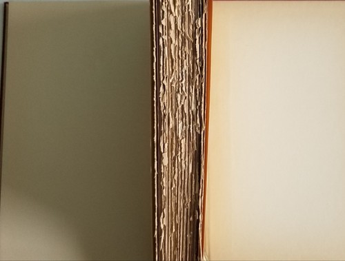 The States Through Irish Eyes, E.C.E Somerville, Ltd Edition of 75 signed copies - Picture 8 of 9