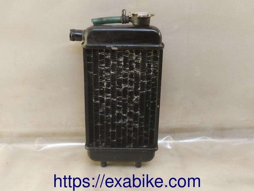 Radiateur (échangeur) Gauche Pour Scooter Cagiva Supercity 125 - Pièce D'occasion En état De Marche