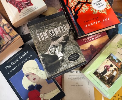 Challenged / Banned Books in the US (you pick) READ DESCRIPTION