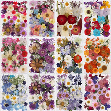 420 Pcs Dried Pressed Flowers for Resin,Bulk Natural Real Dried Flowers