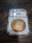 1999 $1 American Silver Eagle  PCI Holder great  Toned coin bullseye