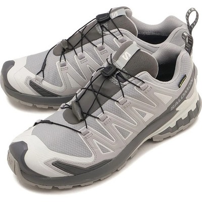 L49199100 Salomon XA Pro 3D V9 GORE-TEX ''Alloy/Castlerock'' (Men's)