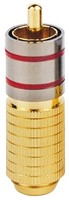 High End Cinchstecker Von Dynavox, Vergoldet, Cinch Stecker Rot