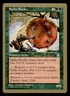 Spike Feeder - 1998 Brian Selden (STH) World Championship Decks MTG LP