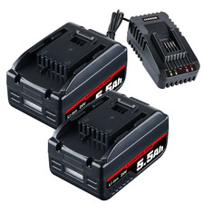 5.5Ah 20V Lithium ion Battery Compatible Worx 39.99 -2 Battery Pack Charger