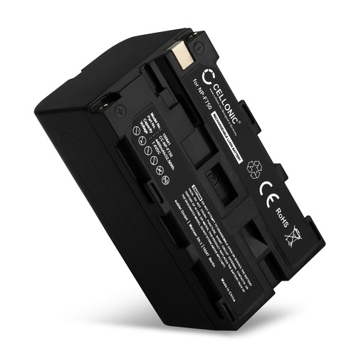 DSTE 2-Pack NP-F970 NP-F950 Batterie et Chargeur pour Sony CCD-SC55 CCD