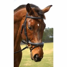 Nunn Finer Aformadi Flash Bridle