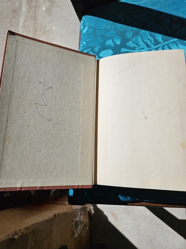 Zane Grey FORLORN RIVER 1st Edition 1st Printing 1927 - Picture 2 of 10