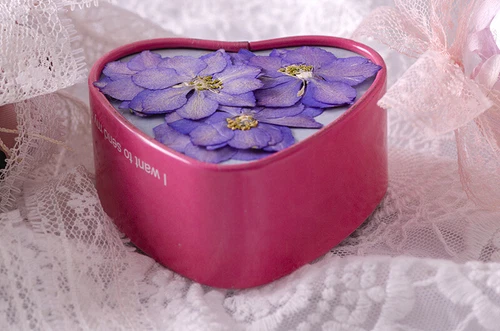 Dried Pressed Flowers Natural Epoxy Resin Candle Nail Art Scrapbooking Craft AU - Picture 113 of 210