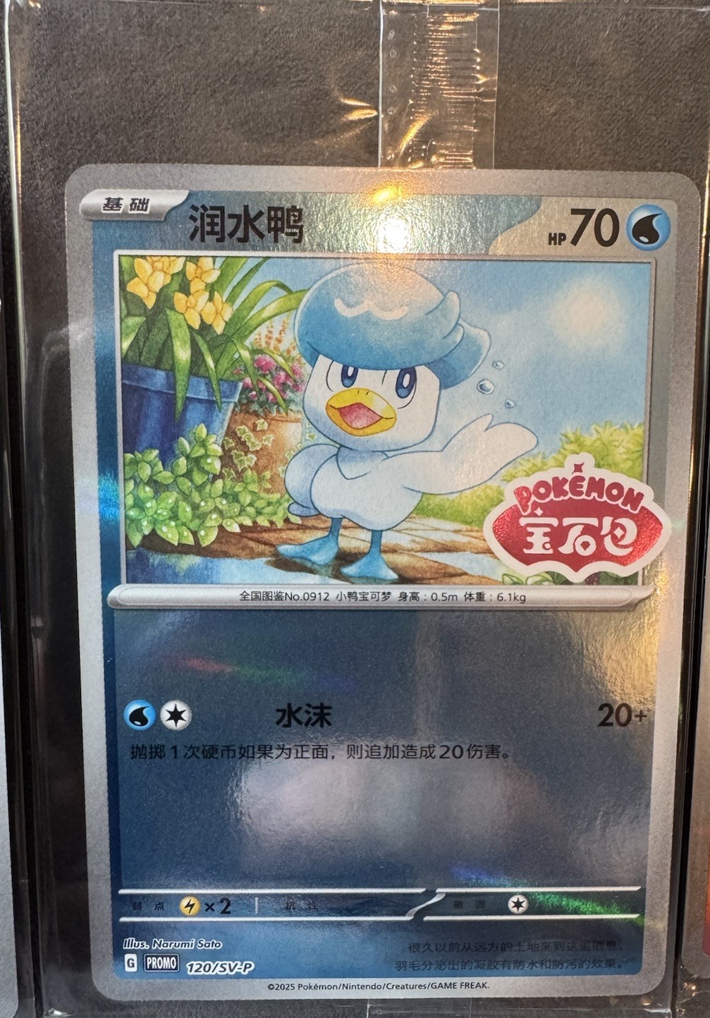 Pokémon TCG Chinese SV-P Sealed Stamped Promo Set Sprigatito Fuecoco ...