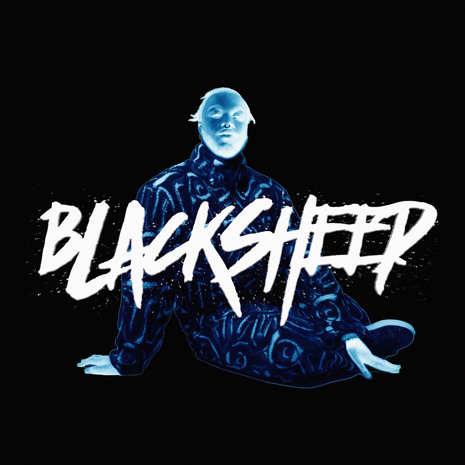 Cakes Da Killa Black Sheep (CD) Album