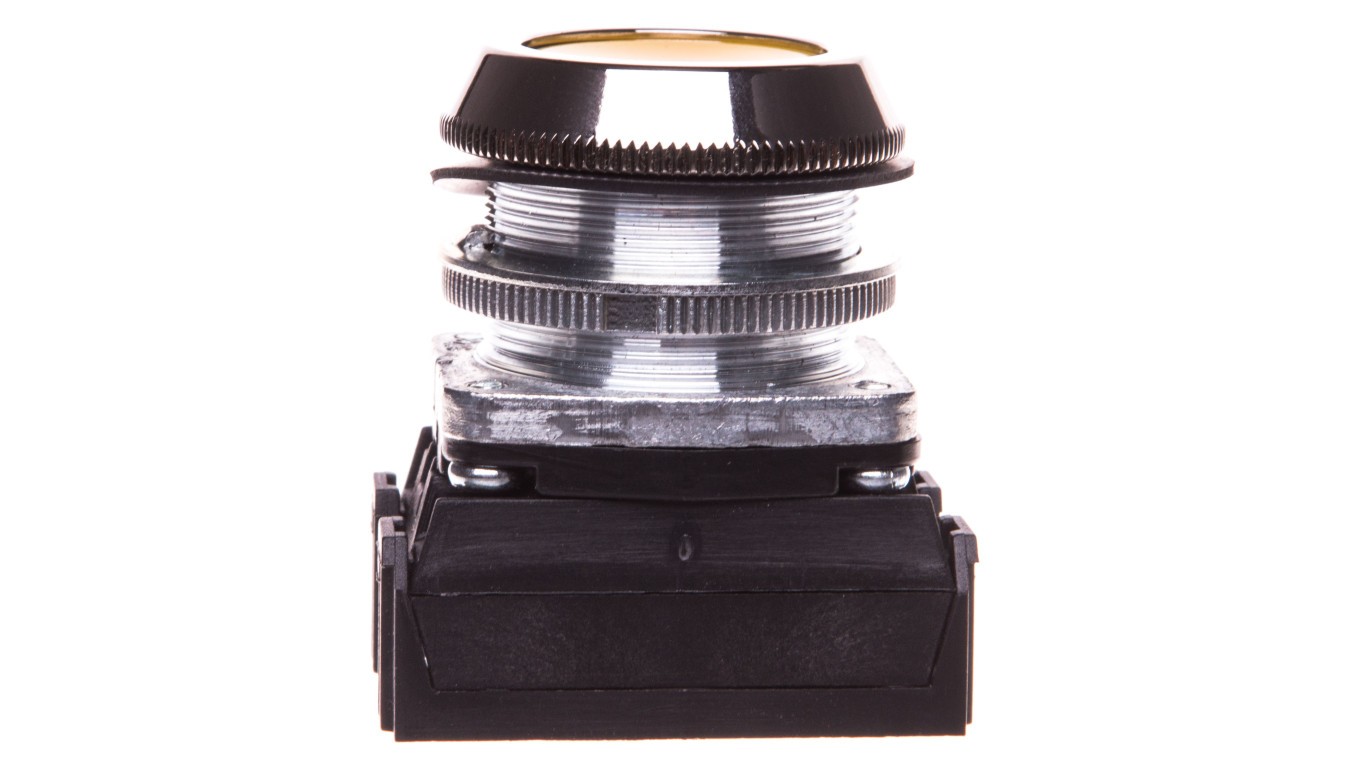 Control button 30 mm yellow 2Z with self-return W0-NEF30-K 2x G