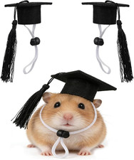 2Pcs Mini Graduation Caps with Tassel Small Animal Bachelor Hat Graduation Photo