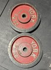 Vintage York 25 Kg bumper Plates