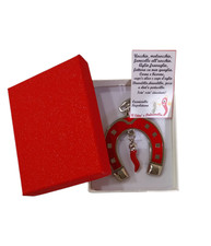 Cornetto Portafortuna con Ferro di Cavallo Portachiavi in Metallo Scatolo Regalo