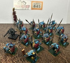 Warhammer The Old World AOS Seraphon Saurus Krieger zusammengebaut und bemalt