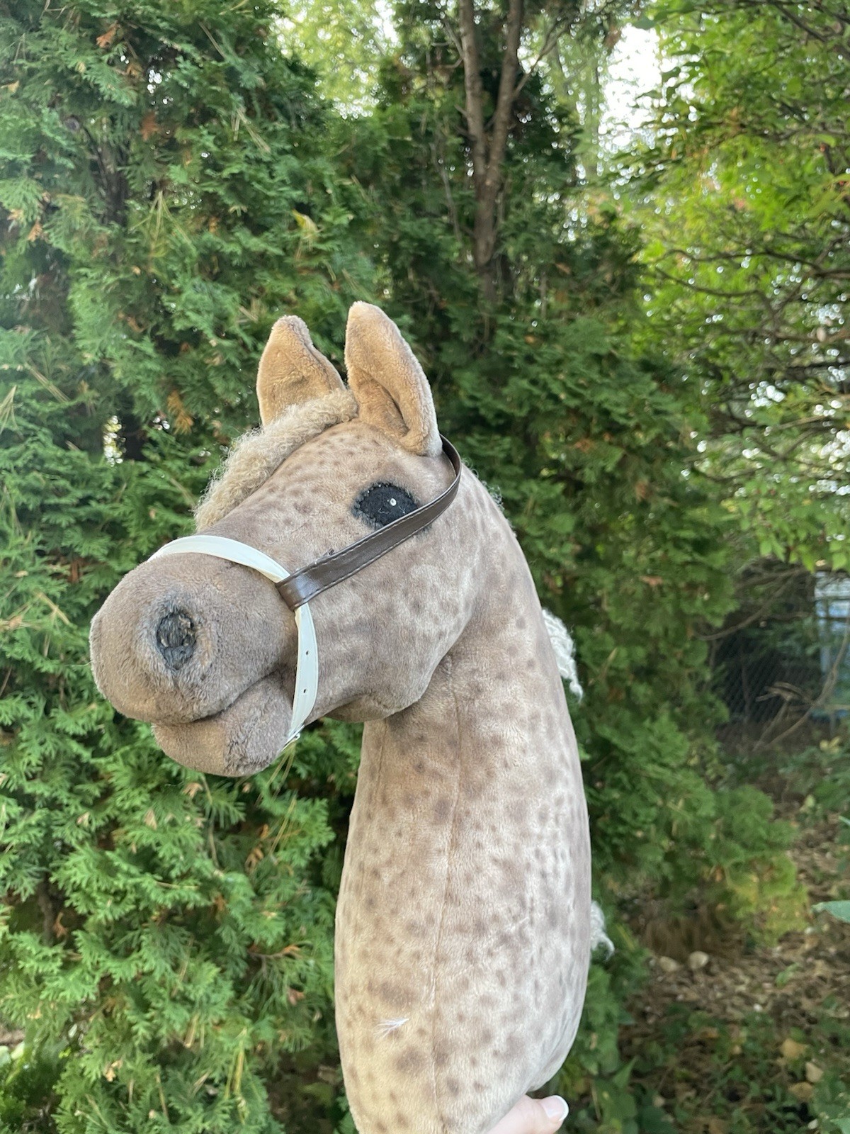 Hobby Horse Three Piece Multi-Use English Bridle 🦃🍂